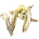 FRESH RAW OREJ CONEJ PELO 15U