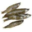 FRESH NAT. PESCADITOS 70g