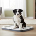 PUPPY TRAINER KIT L BANDEJA EMPA