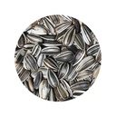 BOLSA PIPAS IREGUI 650g SHAMBI