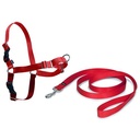ARNES EASY WALK "S" NEGRO