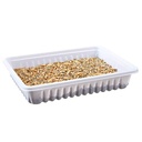 BANDEJA HIERBA ROEDORES 100g TX