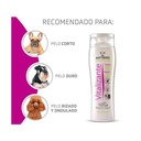 ARTERO CHAMPU VITALIZANTE 250ml