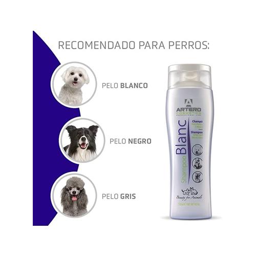 ARTERO CHAMPU BLANC 300ml
