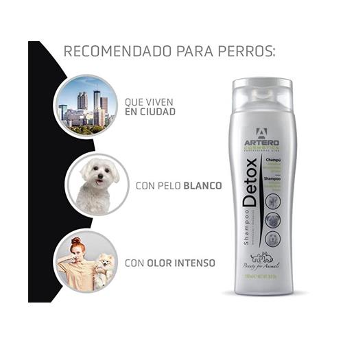 ARTERO CHAMPU DETOX CARBON 250ml