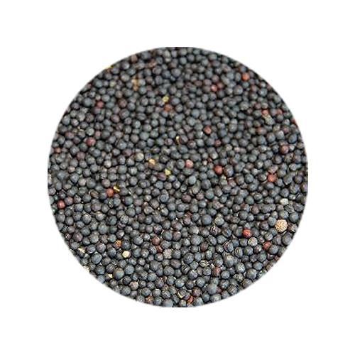 BOLSA NABINA 1kg SHAMBI