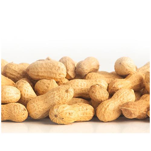BOLSA CACAHUETES 400gr SHAMBI