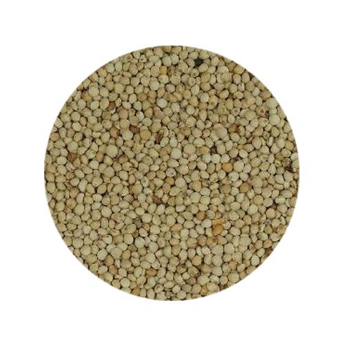 BOLSA PERILLA 600gr SHAMBI