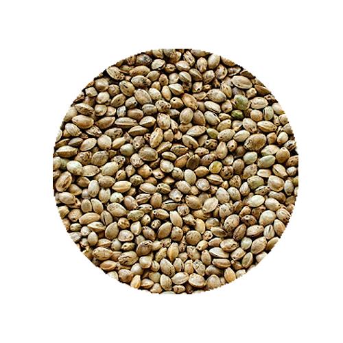 BOLSA CAÑAMONES 900GR SHAMBI