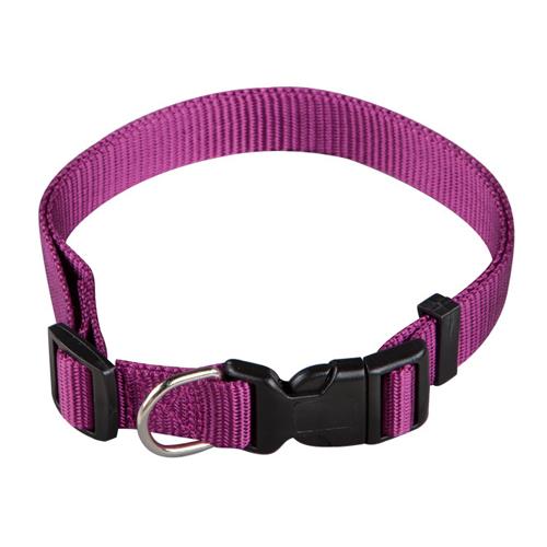 COLLAR NYLON REG. 15-25cm RJ