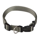 COLLAR NYLON REG. 15-25cm RJ