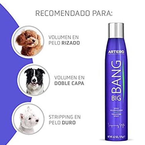 ARTERO SPRAY VOLUMEN BIGBAN 300m