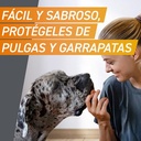 FRONTPRO MASTICABLE 2-4kg 3cp