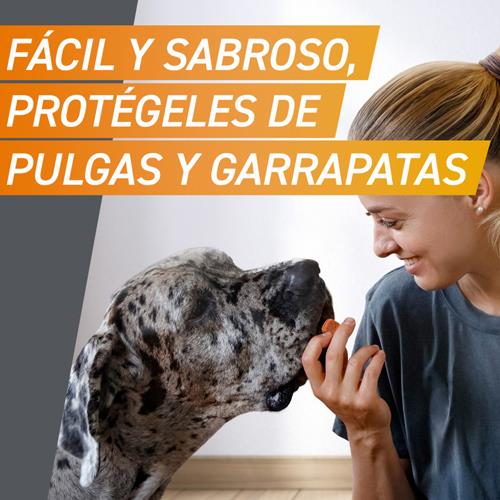 FRONTPRO MASTICABLE 10-25kg 3cp
