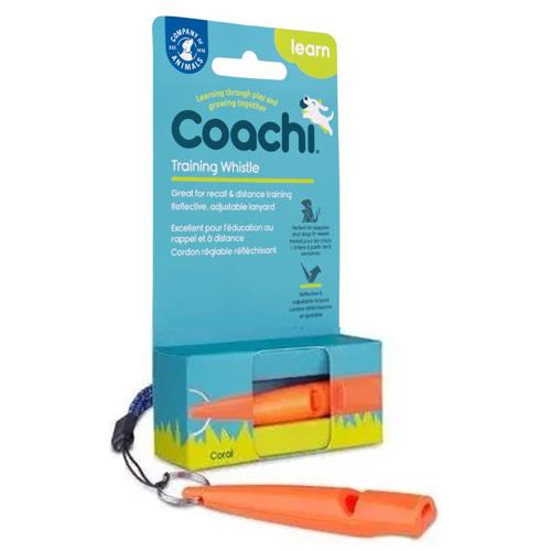 SILBATO TRAINING AZUL COACHI