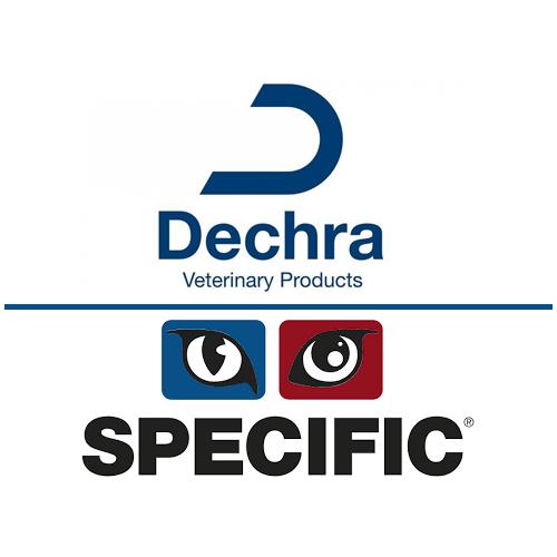 [PROMOWEB2] PROMOS WEB DECHRA