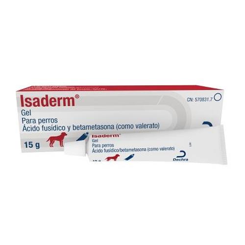 ISADERM 15gr