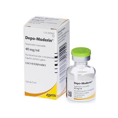DEPO-MODERIN 5ml