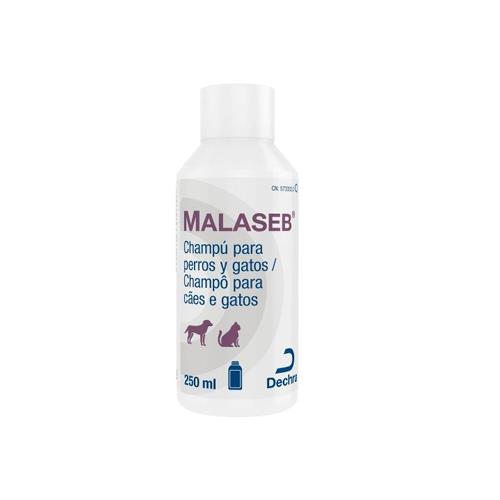 [031817] MALASEB CHAMPU 250ml