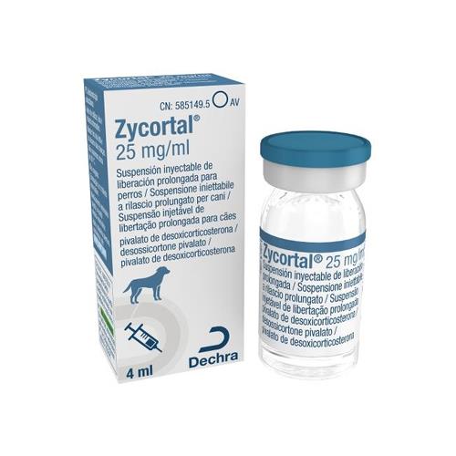 [033709] ZYCORTAL 25mg/ml 4ml