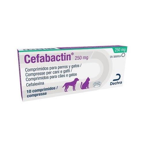 CEFABACTIN 250mg 10cp