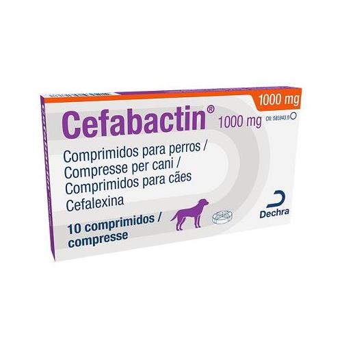 CEFABACTIN 1000mg 10cp