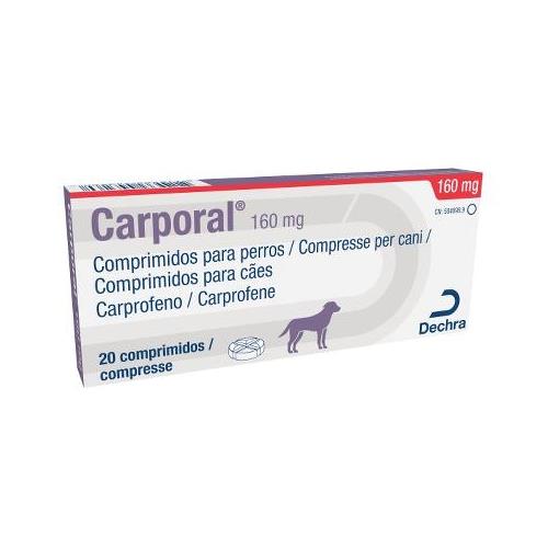 [042079] CARPORAL 160mg 20cp
