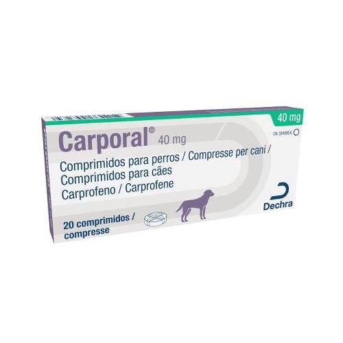 [042081] CARPORAL 40mg 20cp