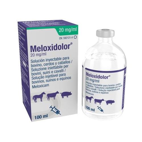 MELOXIDOLOR INY. 20mg 100ml