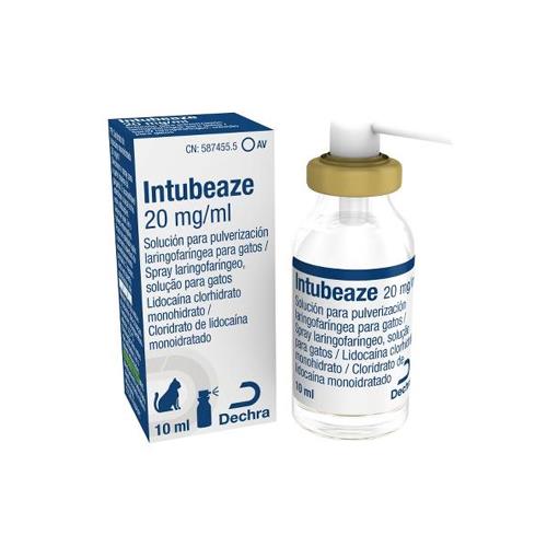 INTUBEAZE SPRAY 20mg/ml 10ml