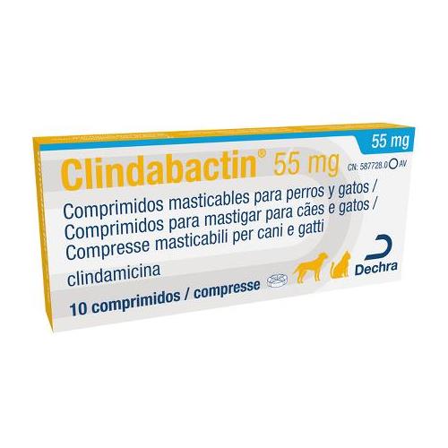 CLINDABACTIN 55mg 10cp