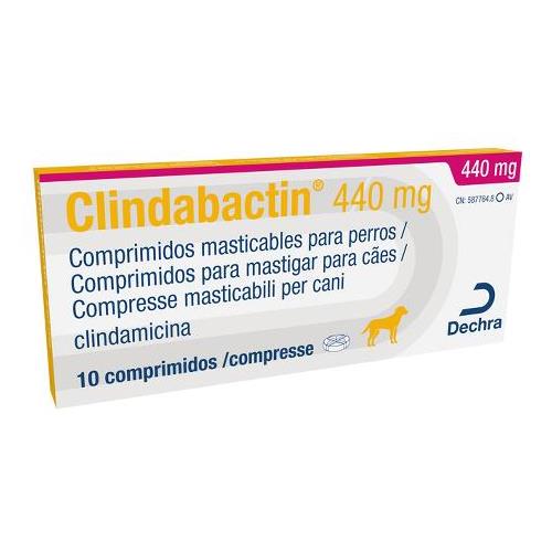 CLINDABACTIN 440mg 10cp