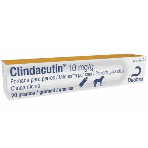 CLINDACUTIN GEL 10mg/g 20gr