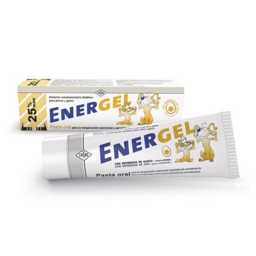 [05000360] ENERGEL PASTA ORAL 80gr