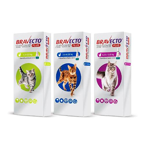 BRAVECTO PLUS GATO 112,5mg 1pip