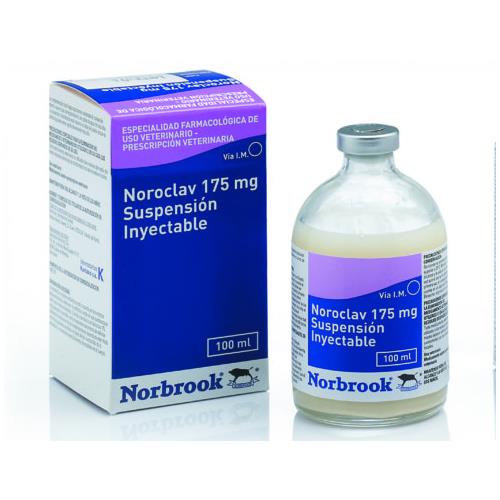 [100192] NOROCLAV 175mg INYECTABLE 100ml