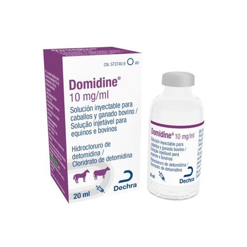 [1010092] DOMIDINE 10mg/ml 20ml