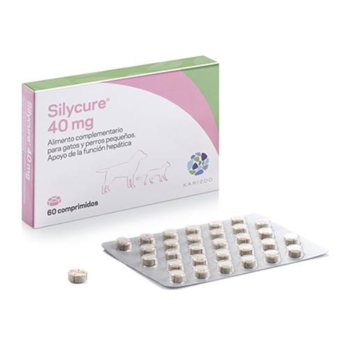 SILYCURE 40mg 60cp