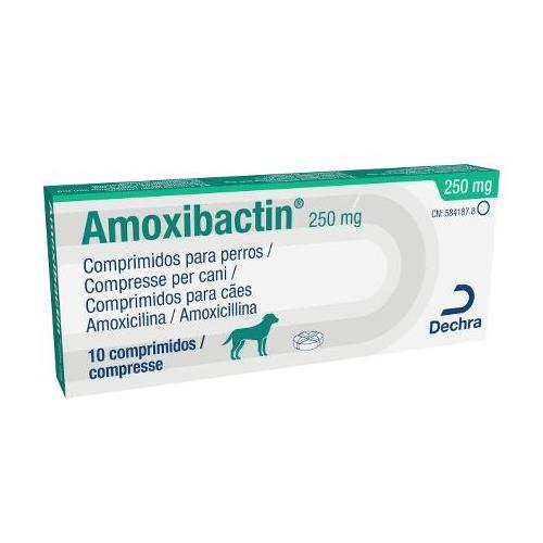 AMOXIBACTIN 250mg 10cp