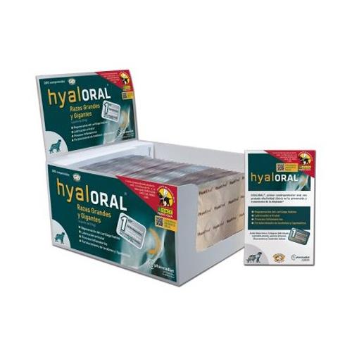 [700856] HYALORAL RAZAS GRANDES GIG 360cp