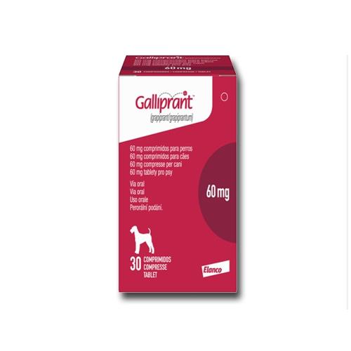 GALLIPRANT 60mg 30cp