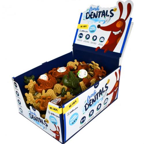 [DP-FD04] DISPLAY DENTALS FRESH JUNGLE MIX
