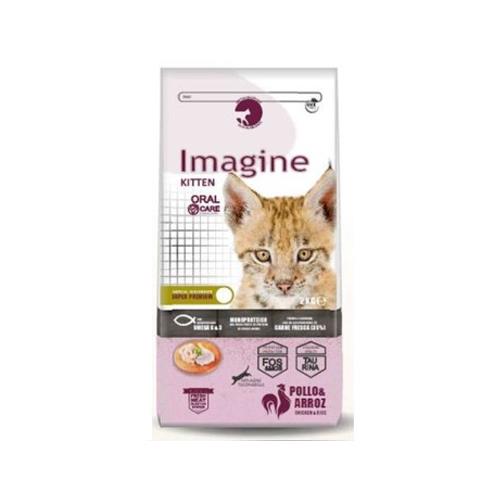 [DP802002] IMAGINE CAT KITTEN 2kg